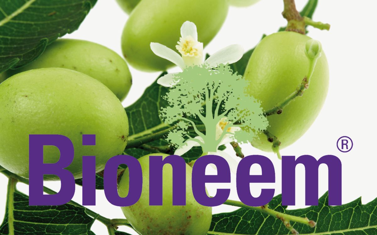 Bioneem-Vliesbeutel